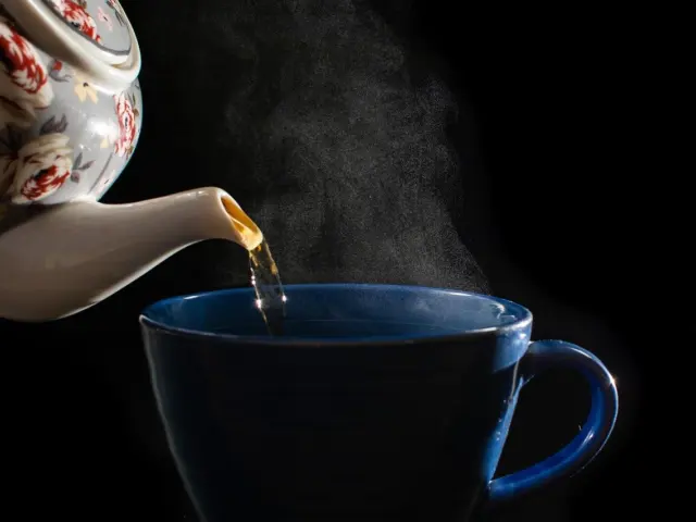 Green Tea EGCG and Cancer Risk