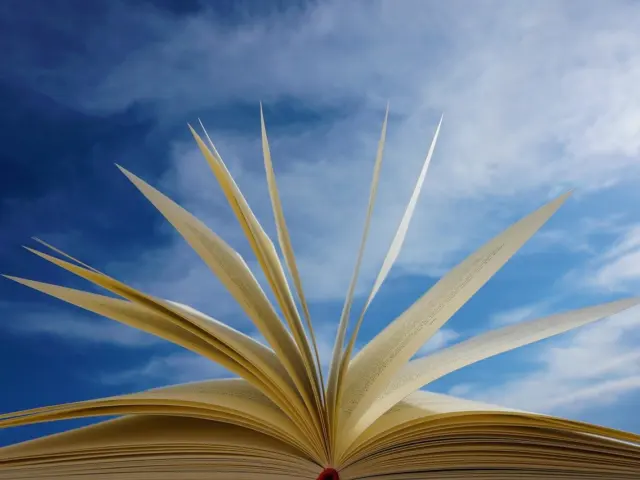 Healthsciencesforum arranie: author search explained