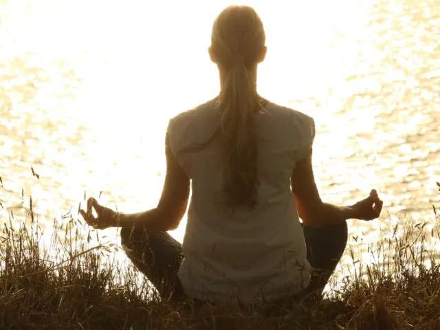 Stress, Cortisol and Brain Health