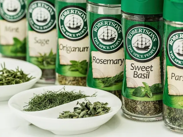 Best Herbs for Memory and Cognitive Function