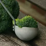 Sulforaphane and Cruciferous Vegetables for Cancer Prevention