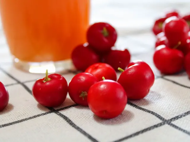Natural Health and Cancer Prevention Research