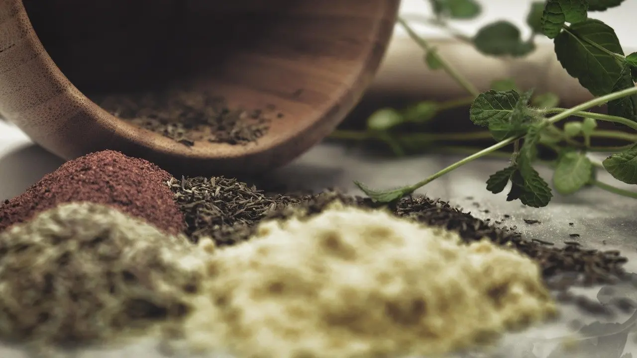 Ashwagandha induces significant regeneration of neurites and reconstructs pre and postsyna Explained