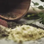 Ashwagandha induces significant regeneration of neurites and reconstructs pre and postsyna Explained