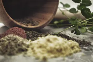 ashwagandha induces significant regeneration of neurites and reconstructs pre and postsyna