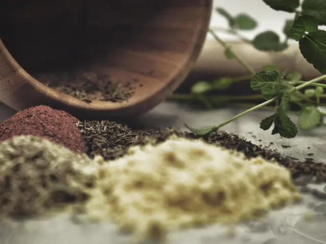 Ashwagandha induces significant regeneration of neurites and reconstructs pre and postsyna Explained